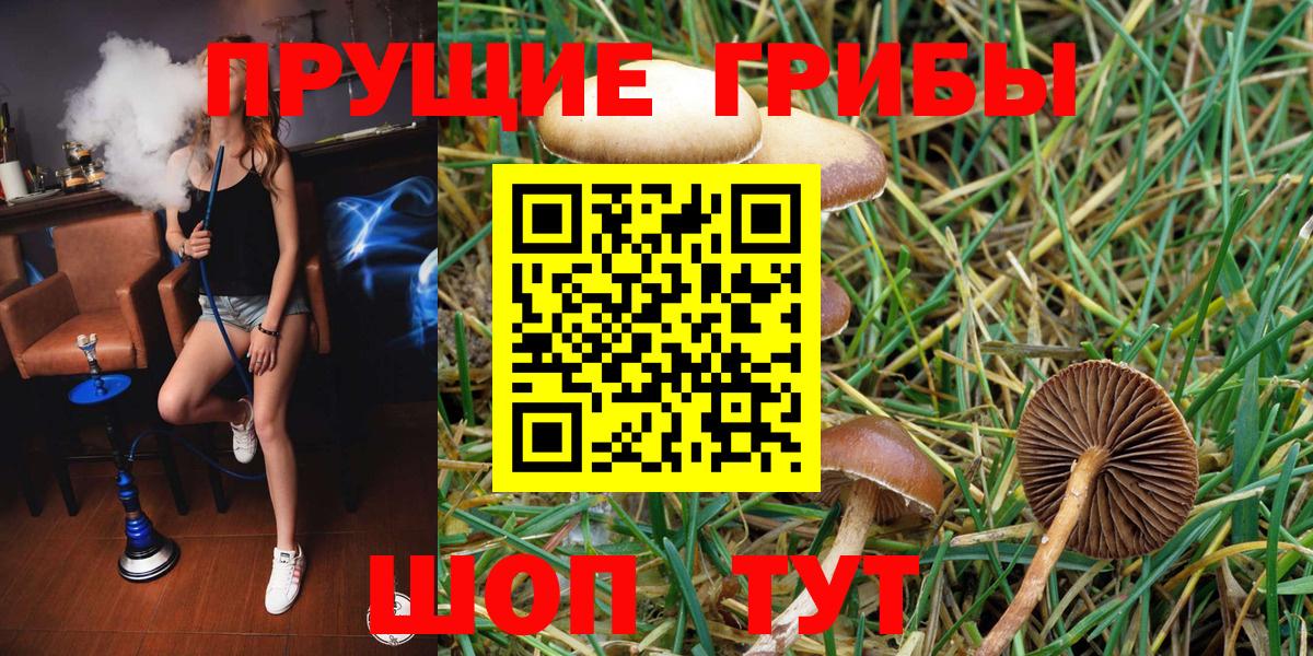 Галлюциногенные грибы Magic Shrooms  Вход с VPN  где купить наркоту  Ступино  Псилоцибиновые грибы мицелий 
