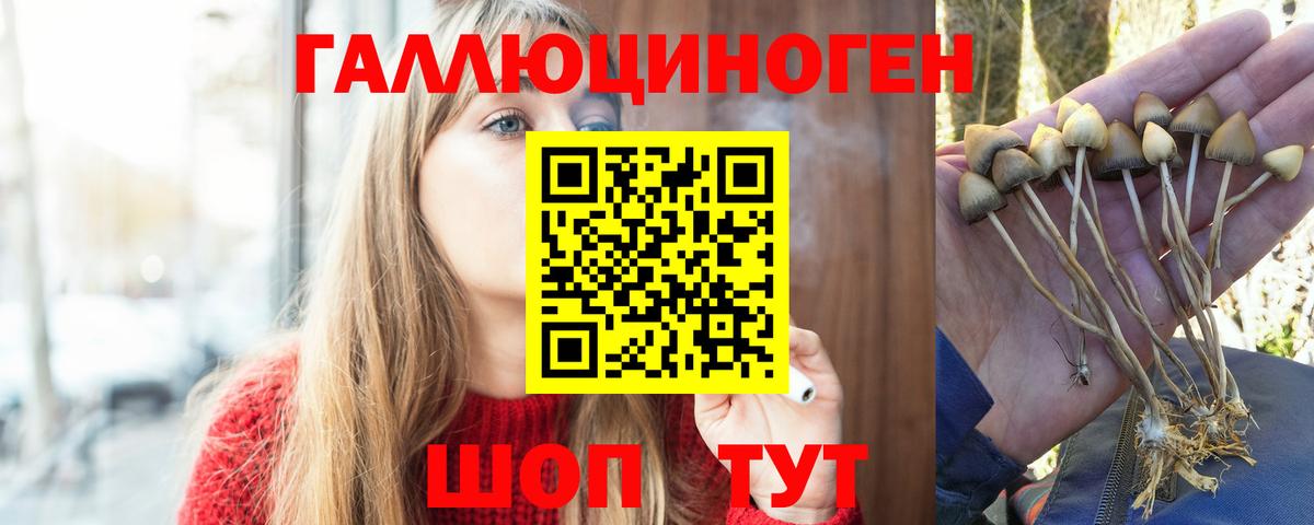 Псилоцибиновые грибы ЛСД Ступино